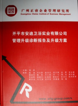 《開平市安迪衛(wèi)浴實業(yè)有限公司管理升級診斷報告及升級方案》