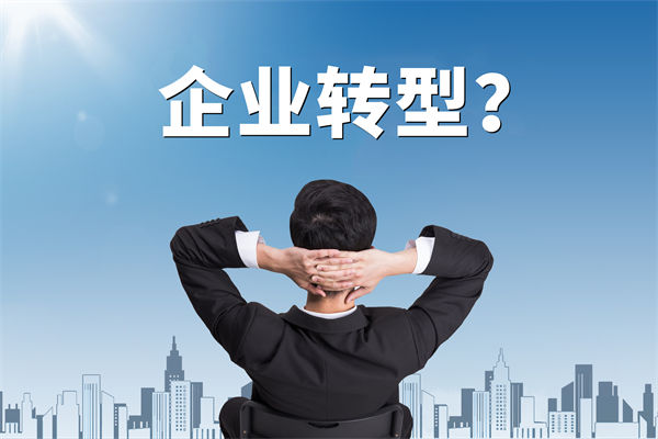 企業(yè)轉(zhuǎn)型無方向，數(shù)智化咨詢公司能否指引明路？