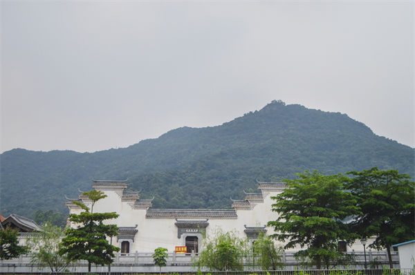 子公司各自為戰(zhàn)內(nèi)耗大，佛山集團(tuán)管控咨詢公司有何整合之道？